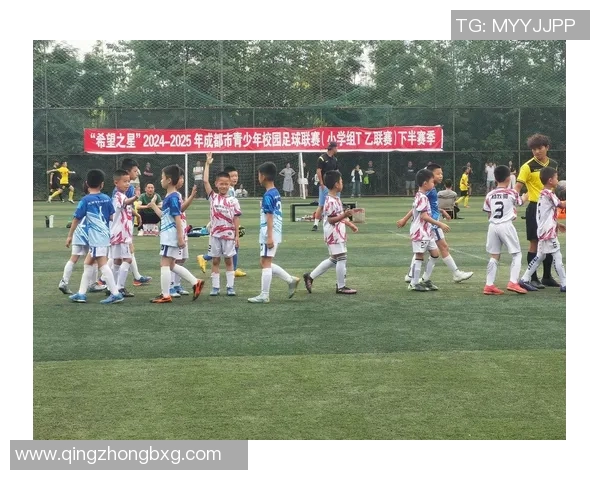 佛山足球之星的崛起与成就探秘他们如何改变了这座城市的足球文化